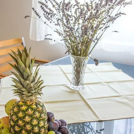 Apartmán Rezidencija Ab Pag Town